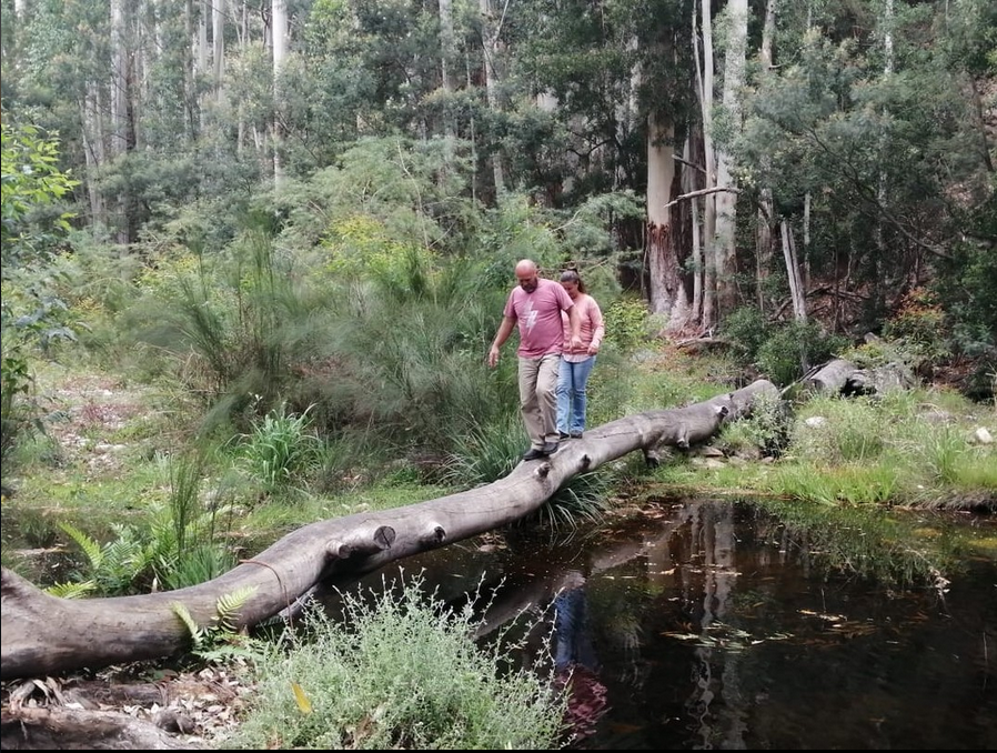 Couple crossing a log bridge over a forest stream