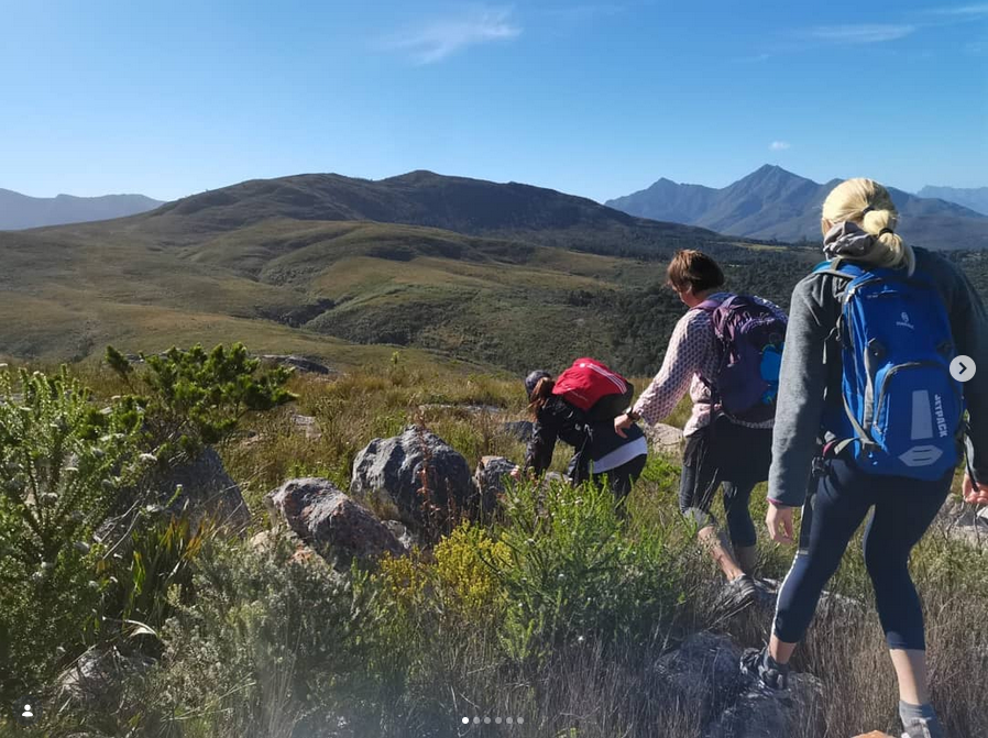 Hiking through fynbos with mountain panorama