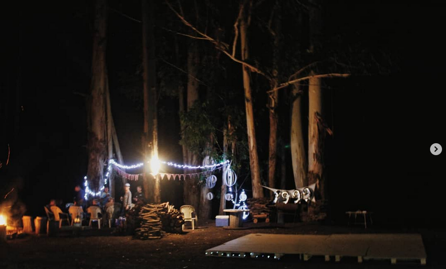 Fairy lights glowing among forest trees at night