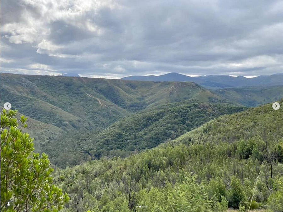 Lush green mountain valley panorama