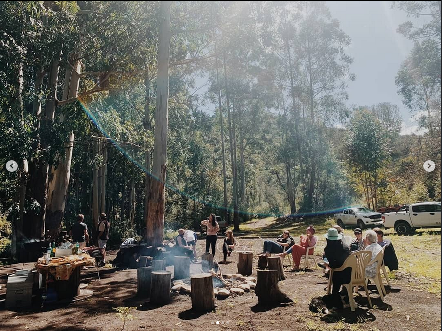 Friends gathered around a braai fire under tall trees